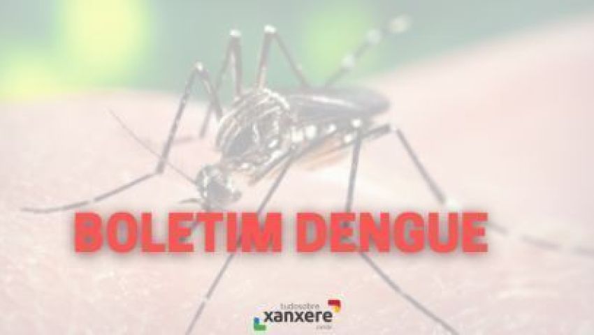 Xanxerê registra mais de 400 casos positivos de dengue